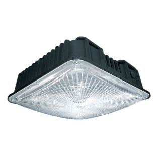 Colshine slim LED Canopy Lights | Gas Station LED Lighting